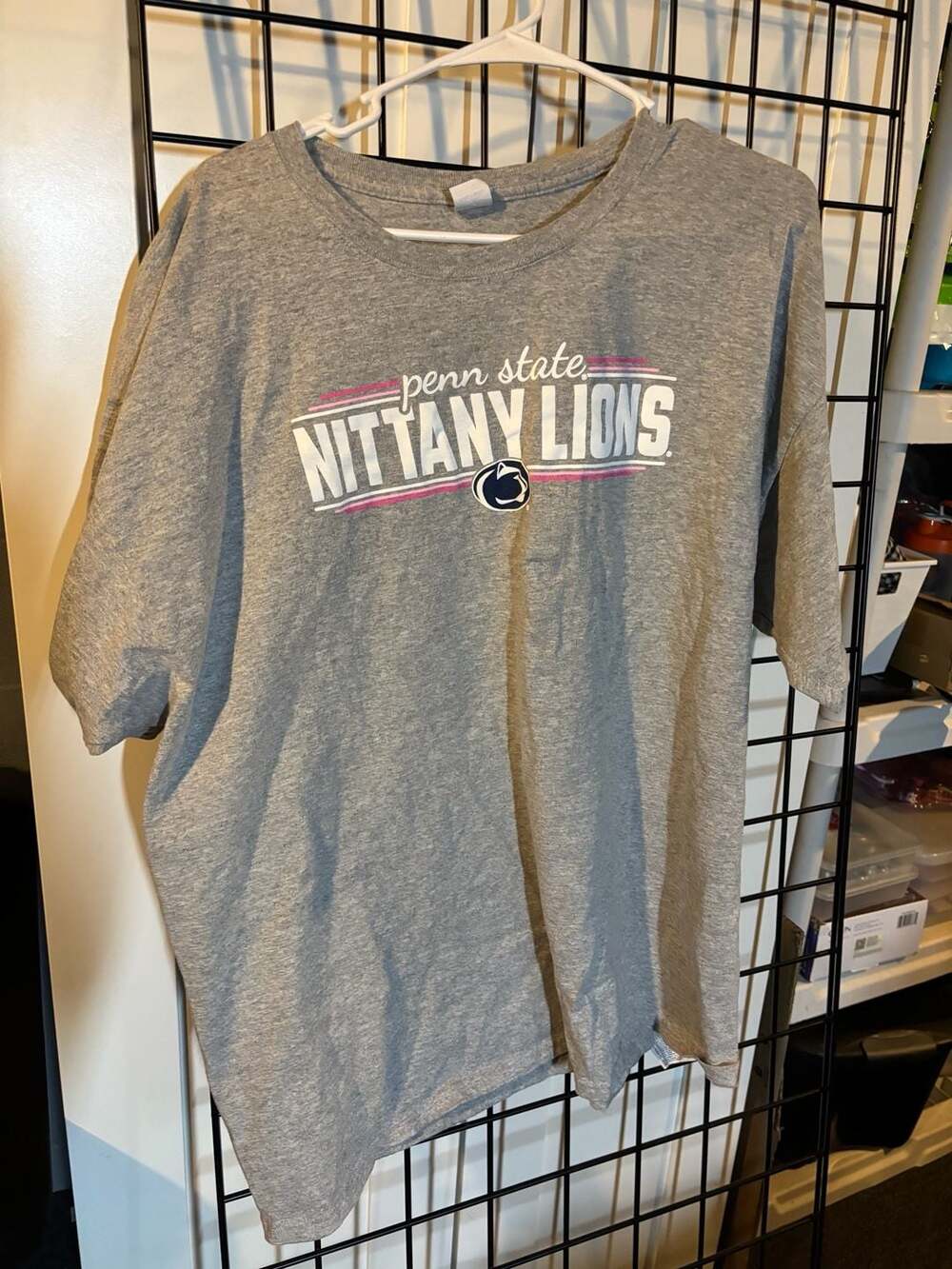 Penn State Nittany Lions Gray Graphic T-Shirt